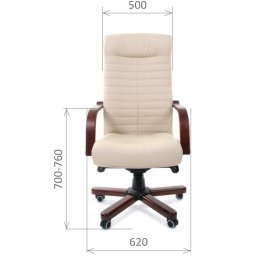 Кресло руководителя CHAIRMAN 480 N WD #5